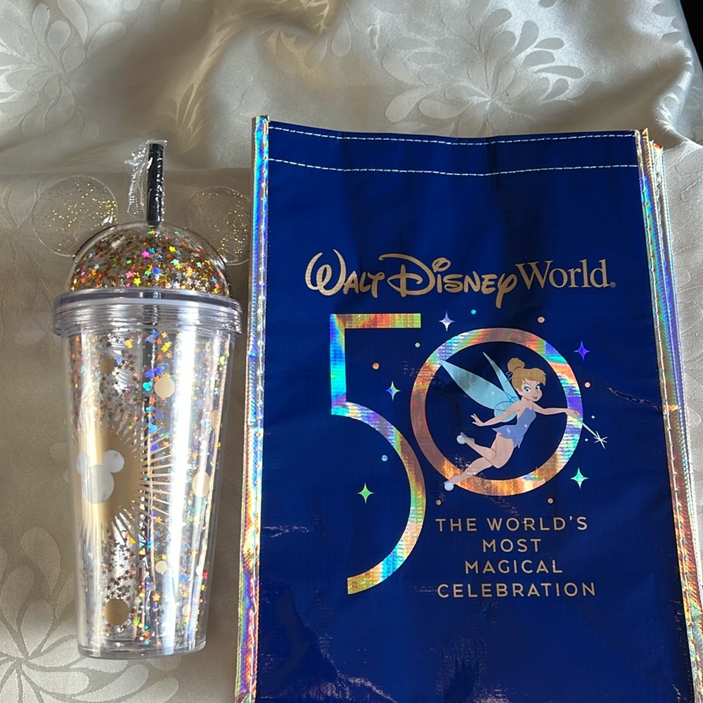 NEW-Disney World Package